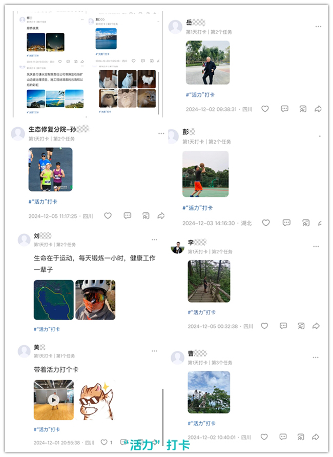 1733878291652976.jpg 2.jpg