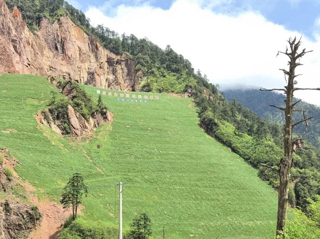 1763557810590616.jpg 111111.jpg